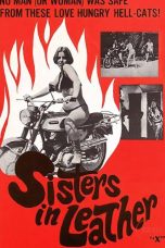 Film Semi Sisters In Leather (1969)