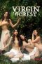 Virgin-Forest-2022a