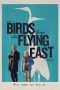 bird flying east
